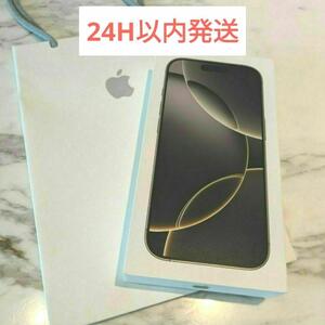 【香港版】 iPhone 16 Pro 256GB ナチュラルチタニウム 海外版 物理デュアルSIM シャッター音なし 海外限定 Natural Titanium