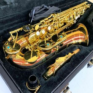 【Gt-12】 YANAGISAWA A-WO2 00343xxx アルトサックス サクソフォン 金管楽器 ヤナギサワ タンポ汚れ有 ケースカビ有 2201-39