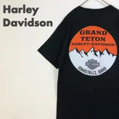 2452 ハーレーダビッドソン　両面　ビッグロゴ　半袖　Tシャツ　ポケット　黒