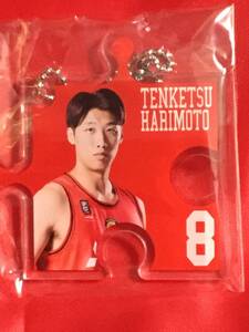 ◆バスケットBリーグ　名古屋ダイヤモンドドルフィンズ 張本天傑　キーホルダー　未使用品