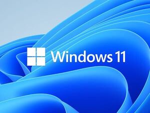 ◇最新◇ Microsoft Windows 11 Pro 64bit DSP版 DVD 日本語 1台分