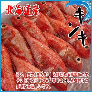 【業務用】北海道産 キンキ 約２kg 　8～10尾前後入り きんき 錦旗