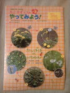 雑誌幼稚園2010年3月号付録もじ・かずドリルやってみよう！のみ