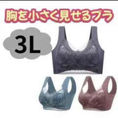 3L レース付き バストを小さく見せるブラジャー