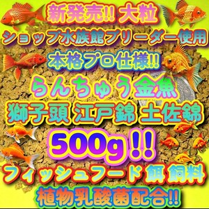 新販売 大粒 餌 大盛500g!! プロ仕様! らんちゅう 金魚 獅子頭 飼料 フィッシュフード 熱帯魚 観賞魚 エサ ブリーダーショップ使用 江戸錦