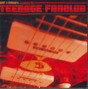 CD Various What A Concept!: A Salute To Teenage Fanclub WIV027CD WIZZARD IN VINYL /00110