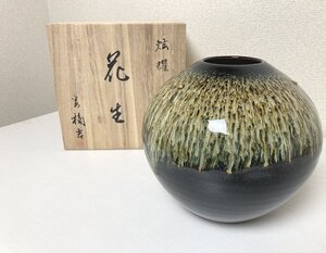  送料無料 ■ 未使用 花生 たちきち 橘吉 花瓶 炫耀 たち吉 花器