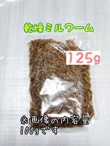 乾燥ミルワーム125g 高淡白 小動物 爬虫類 両生類 ハムスター ハリネズミ