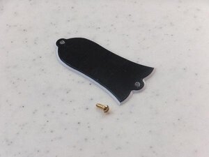 米国S&M社 Truss Rod Cover Screw Gold (マイナスネジ2.5mm)