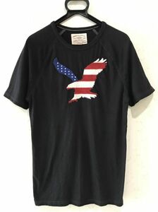 ＊アメリカンイーグル AMERICAN EAGLE 星条旗 イーグル 刺繍 ラグラン 半袖 Tシャツ トップス S/P　　BJBJ.F