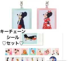 新品！イマジニングザマジック♡キーチェーン♡シール♡セット♡ディズニー♡TDR