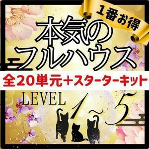 【￥11,000引】ゆめ乃算命学　本気のフルハウス　算命学　独学