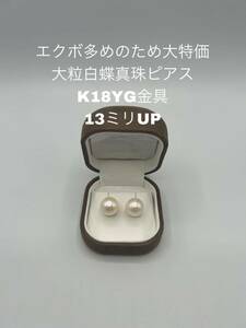 エクボ多めのため大特価　大粒白蝶真珠ピアス　K18YG金具 13ミリUP 0796