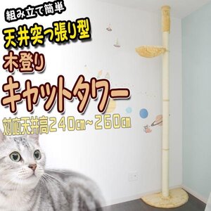 キャットタワー 天井突っ張り型 猫 タワー 全高240～260cm ねこタワー ベージュ ［木登り棒 木登りタワー 木登りポール キャットポール］