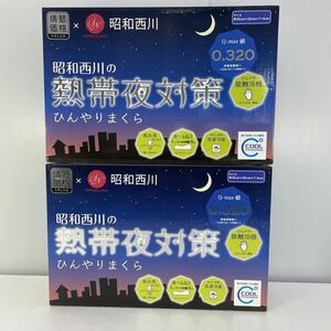 昭和西川 熱帯夜対策 ひんやりまくら 　約 30cm×50cm×7〜9cm 2個セット　未使用