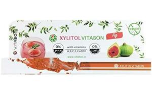 １個　XYLITOL VITABON　イチジク　禁煙パイプ　口臭ケア