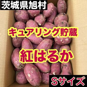 キュアリング貯蔵　茨城県旭村　熟成紅はるか箱込み1.2キロ弱　送料無料