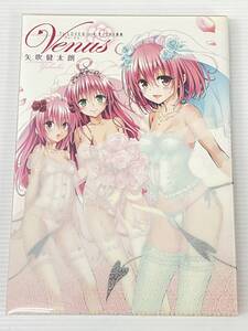 To LOVEる -とらぶる- ダークネス画集 Venus 矢吹建太朗 中古品 sybetc080882