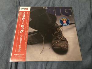 未開封 RSD 限定 LP MR.BIG ミスタービッグ