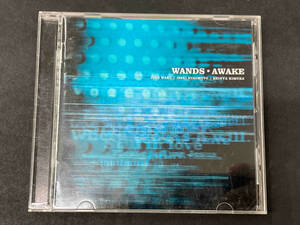 WANDS CD AWAKE