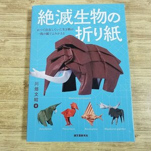 折り紙[絶滅生物の折り紙] 川畑文昭 恐竜 マンモス他 30作品【送料180円】