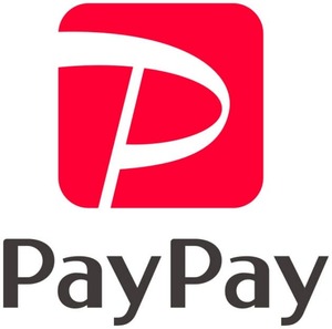 【送料無料】PayPay 5,000円 ギフトコード ボーナス 通知 ギフトカード【匿名対応可】