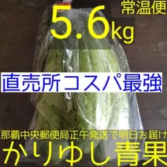 〈直売所コスパ最強〉沖縄県産ナーベラー（ヘチマ）Ｂ品約5.6kg【常温便】①