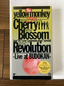 THE YELLOW MONKEY ザ・イエロー・モンキー 吉井和哉 ライブ 1995年　VHS ビデオ　Cherry Blossom Revolution Live At Budokan イエモン