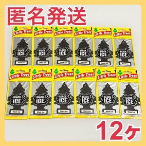 【お買い得】リトルツリー　ブラックアイス　 　★12枚セット★