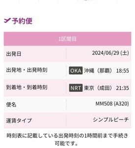 6/29 那覇18:50→成田着 シンプルピーチ（50代男性）