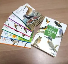 【極美品】ペーパーバック版　日本の野鳥セット　薮内正幸