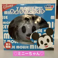 ディズニー　ちょうちんライト　ミニー