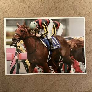 競馬 ラッキーライラック 石橋脩 直筆サイン入り A4写真 武豊 藤田菜七子 ゼッケン ルメール 大谷翔平 グッズ 馬券 ぬいぐるみ