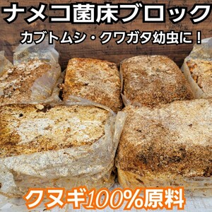 ナメコ菌床ブロック　クヌギ100％原料　カブトムシ幼虫の栄養補給に抜群！　ブロックのままマットに埋めるだけで幼虫がモリモリ食べます