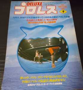 【送料無料】DELUXEプロレス　1980年9月号　通巻No.24　ベースボールマガジン社　アントニオ猪木　ラッシャー木村　坂口征二　希少品　レア