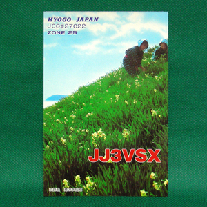 ◆レトロ交信証【淡路島 灘の水仙郷フォト ベリカート】淡路島のアマチュア無線局/受信証明書 記入済QSLカード１枚 [d44]