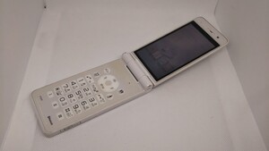 M118 docomo FOMA P-01F Panasonic パナソニック ガラケー 折り畳み式 簡易動作確認＆簡易清掃＆初期化OK 判定○ 現状品 送料無料