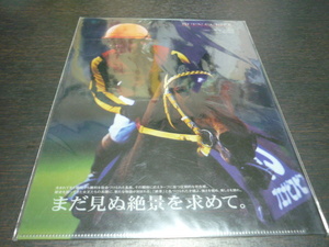 新品未開封◆即決◆JRA ヒーロー列伝No.69 ブエナビスタ クリアファイル◆来場ポイントキャンペーン当選品