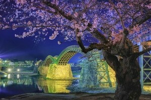 ジグソーパズル 1000ピース 錦帯橋の夜桜 50x75cm 10-1364　送料無料　新品