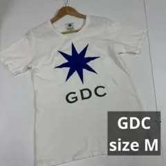 GDC Tシャツ　M 古着　ストリート　フロッキーロゴ　90s 00s