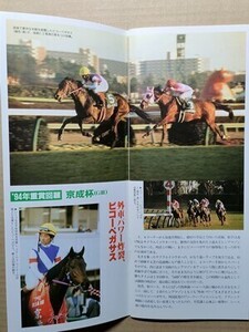 競馬 JRA レープロ950108中山 京成杯マイティーフォース/#ビコーペガサス オースミポイント ダイナマイトダディ Uオーディン読タッチストン