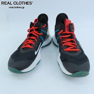 NIKE/ナイキ LeBron Witness/レブロン ウィットネス CD0188-005/24.5 /080