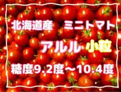 ✽高濃度ミニトマト✽　北海道産　ミニトマト　アルル　小粒のみ　1kg