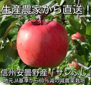 即決■信州安曇野「葉とらずサンふじ」約5キロ　家庭用　減農薬・除草剤不使用　送料無料地域限定　2024①