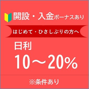 即決1円 FX 自動売買EA 送料無料 美品 限定品 激安 最新 ナンピン 投資 副業 ED.No.40