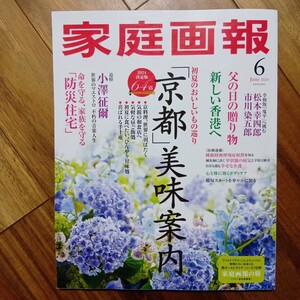 家庭画報 ２０２４年６月号 （世界文化社）イタミ有り 管理番号A1003