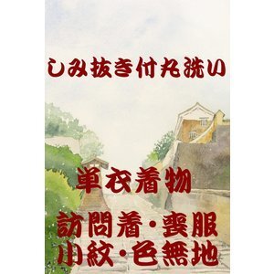 しみ抜き付丸洗い『単衣訪問着・単衣色無地・単衣小紋・単衣紬』