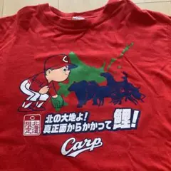 【超レア品】北海道限定 広島カープ応援Ｔシャツ