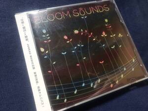 BLOOM SOUNDS　JUNEAU MUSIC企画　NOXAH