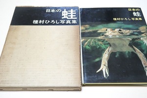 日本の蛙・種村ひろし写真集/オタマジャクシの生活を終えて蛙になる様子が順を追って記録されている/目で見る蛙の入門書としてお勧めしたい